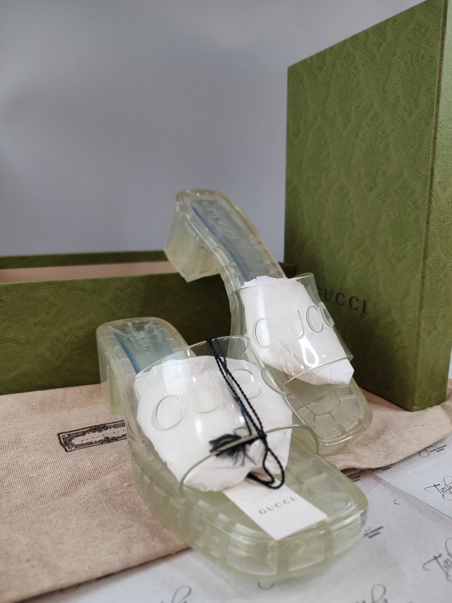 Gucci Transparent Rubber Block Heel Slides